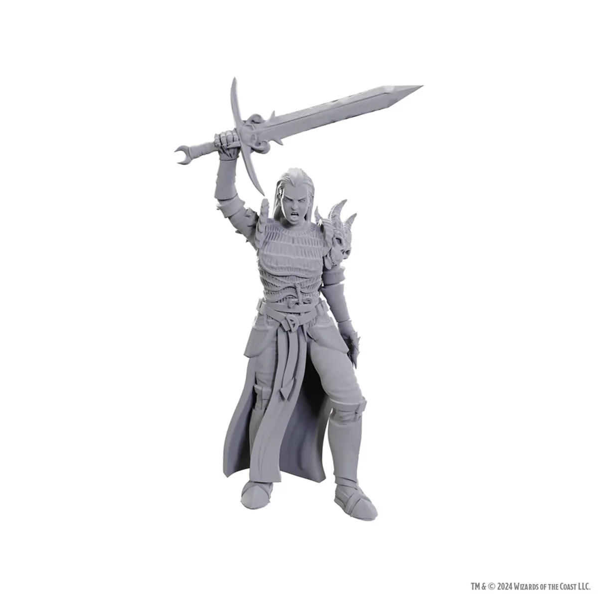 Dungeons & Dragons: Nolzur's Marvelous Unpainted Miniatures Wave 25: Blackguard