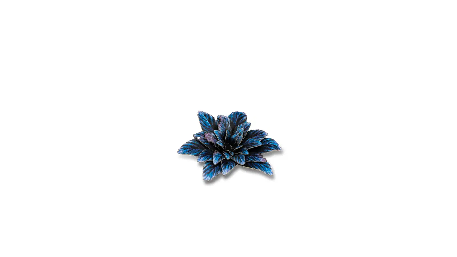 Gamer Grass: Alien Rosette Laser Plants - Image 5